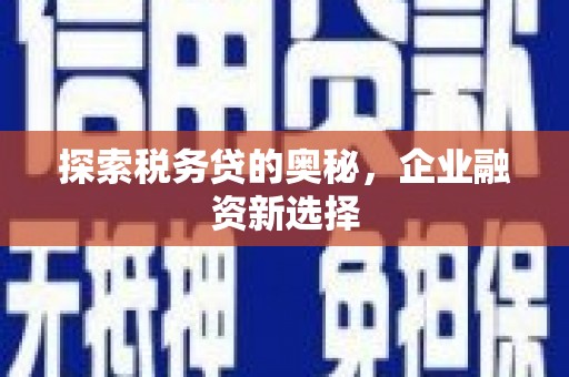 公安探索税务贷的奥秘，企业融资新选择