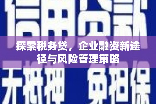 澧县探索税务贷，企业融资新途径与风险管理策略