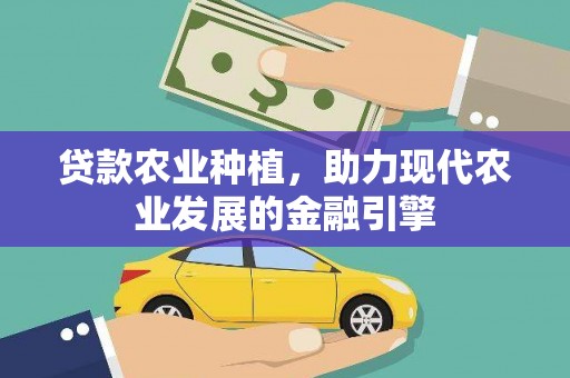 龙湾贷款农业种植，助力现代农业发展的金融引擎