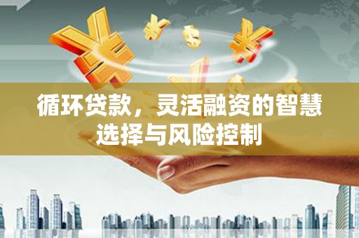 枋寮循环贷款，灵活融资的智慧选择与风险控制
