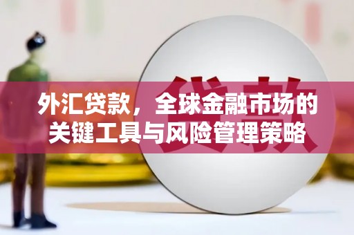 顺城外汇贷款，全球金融市场的关键工具与风险管理策略
