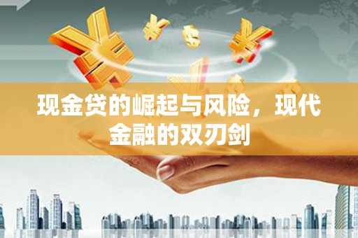 华龙现金贷的崛起与风险，现代金融的双刃剑
