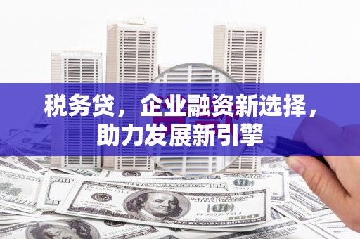 合浦税务贷，企业融资新选择，助力发展新引擎