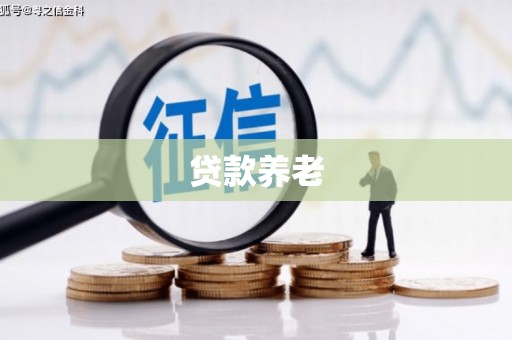 昌吉贷款养老