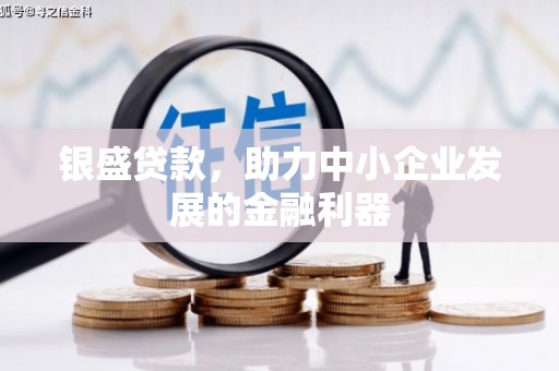 洛隆银盛贷款，助力中小企业发展的金融利器