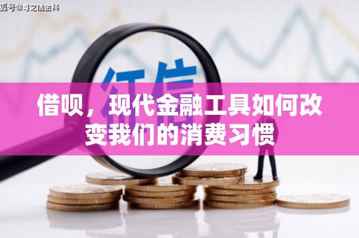 林芝借呗，现代金融工具如何改变我们的消费习惯