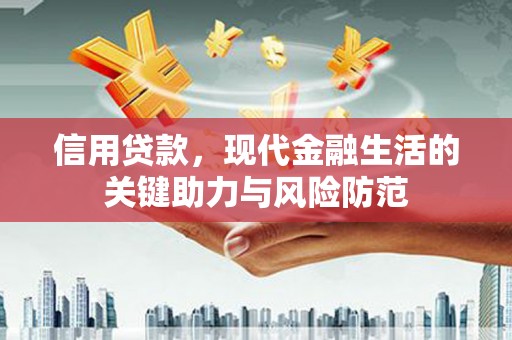 如皋信用贷款，现代金融生活的关键助力与风险防范