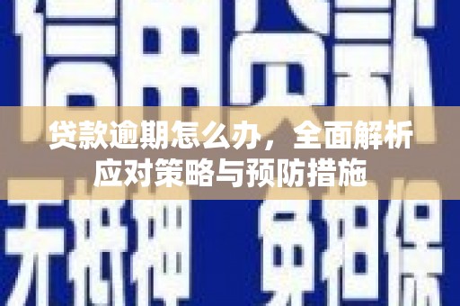 于田贷款逾期怎么办，全面解析应对策略与预防措施