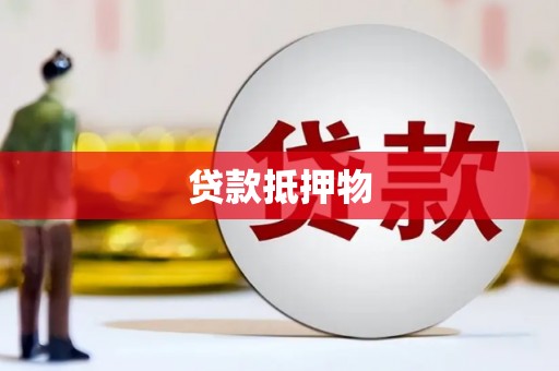 肃南贷款抵押物