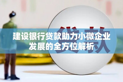 临渭建设银行贷款助力小微企业发展的全方位解析