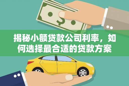 延庆揭秘小额贷款公司利率，如何选择最合适的贷款方案