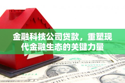 平武金融科技公司贷款，重塑现代金融生态的关键力量