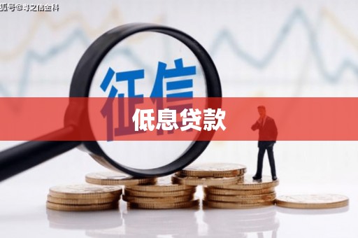 靖宇低息贷款