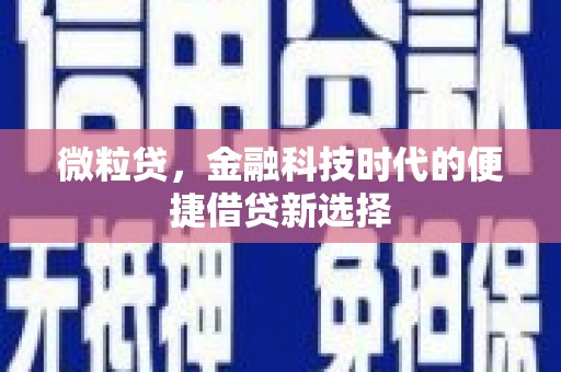铁力微粒贷，金融科技时代的便捷借贷新选择