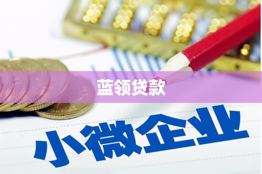大社蓝领贷款