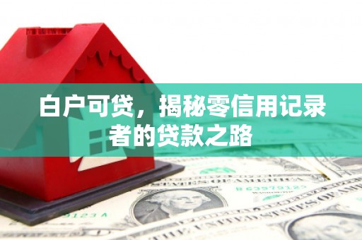 金寨白户可贷，揭秘零信用记录者的贷款之路