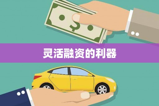 莱城灵活融资的利器
