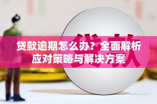 东明贷款逾期怎么办？全面解析应对策略与解决方案