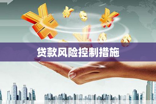 从江贷款风险控制措施
