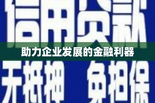 隆子助力企业发展的金融利器