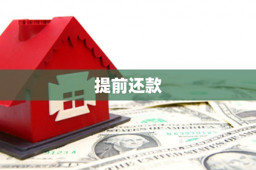 渝中提前还款