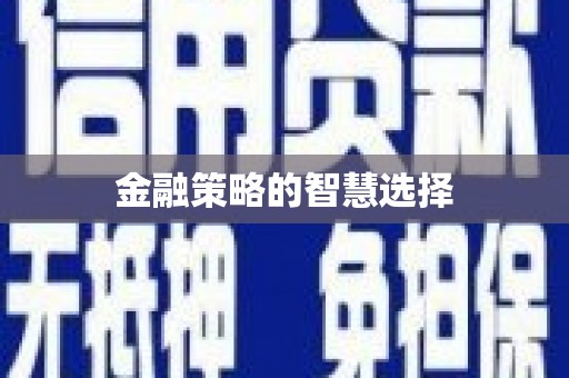高安金融策略的智慧选择