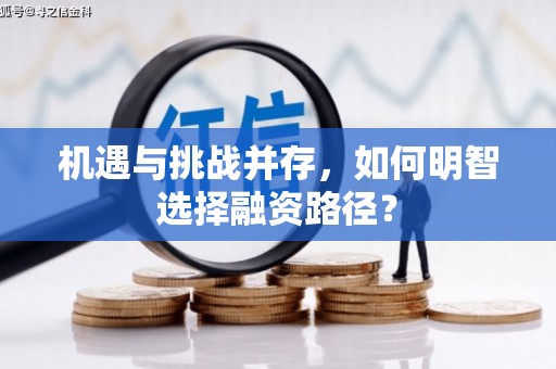 裕华机遇与挑战并存，如何明智选择融资路径？