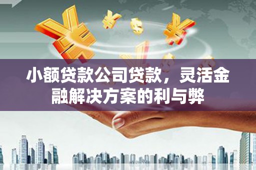 双鸭山小额贷款公司贷款，灵活金融解决方案的利与弊