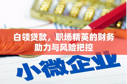 虎林白领贷款,职场精英的财务助力与风险把控 虎林白领贷款,职场精英的财务助力与风险把控