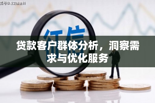 莱山贷款客户群体分析，洞察需求与优化服务
